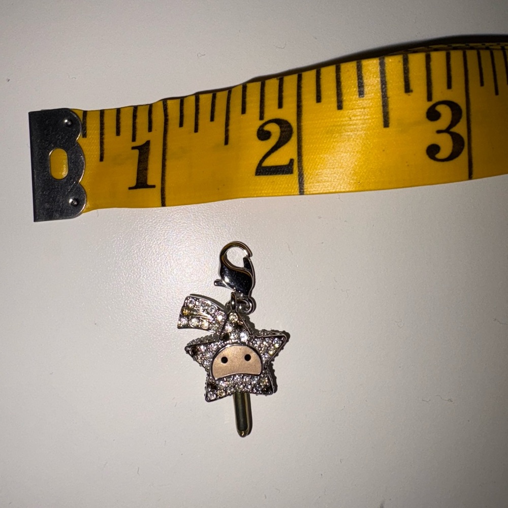 Swavorksi Star Charm